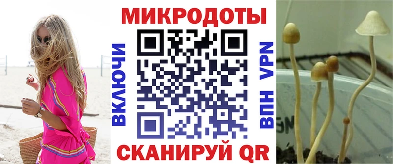 Псилоцибиновые грибы Cubensis  где продают наркотики  Остров 